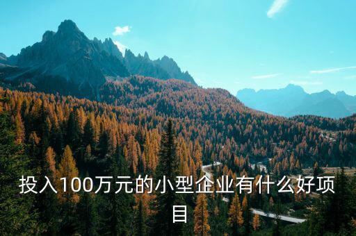 什么企業(yè)愛投資項(xiàng)目，投入100萬元的小型企業(yè)有什么好項(xiàng)目
