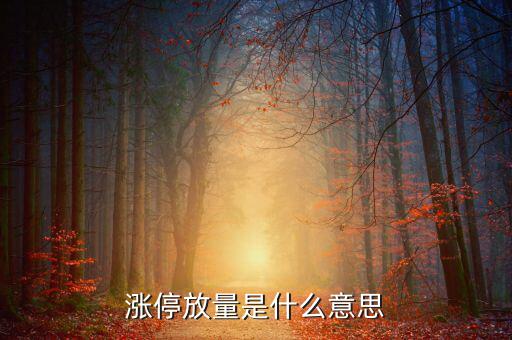天量漲停意味著什么，放天量的漲停板意味著什么是不是意味著后市一定是一路走低的