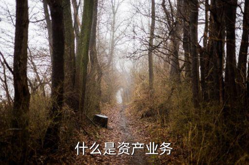 什么是大資產(chǎn)業(yè)務(wù)，商業(yè)銀行三大支柱業(yè)務(wù)是什么
