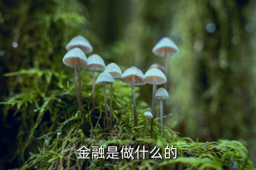 中國(guó)29金融是干什么的，金融是干什么的