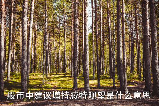 股票建議增持什么意思，股市中建議增持減特觀望是什么意思