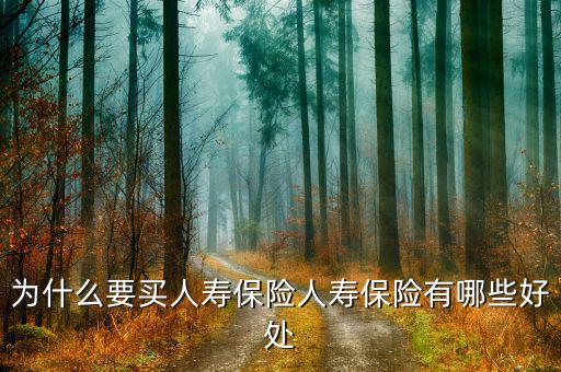 為什么買人壽，生意人為什么要買人壽保險