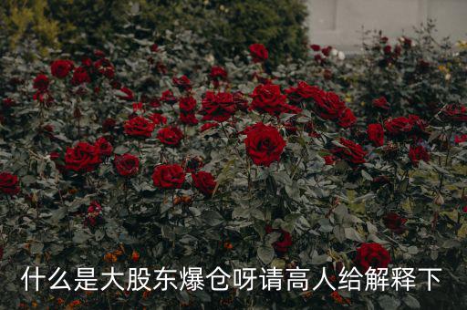 大股東爆倉什么意思，什么是大股東爆倉呀請高人給解釋下