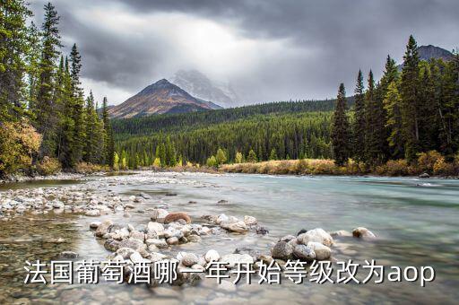 法國發(fā)生什么改革，法國葡萄酒哪一年開始等級改為aop