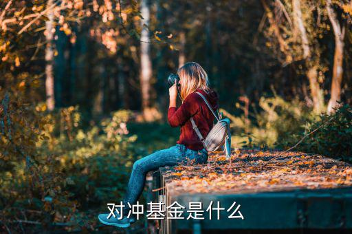 對(duì)沖基金是什么意思，什么是對(duì)沖基金對(duì)沖基金指的是什么
