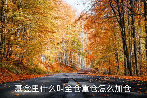 什么是基金加倉，基金里什么叫全倉重倉怎么加倉
