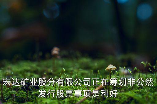 宏達(dá)礦業(yè)什么重大事項(xiàng)，請教600687停盤說是因?yàn)楹藢?shí)公司相關(guān)重大事項(xiàng)這個重大事項(xiàng)有知