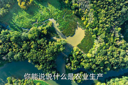 什么叫農(nóng)業(yè)生產(chǎn)經(jīng)營體制，你能說說什么是農(nóng)業(yè)生產(chǎn)