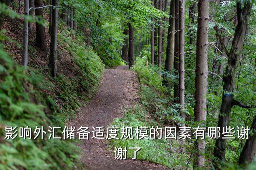 什么樣的外匯儲(chǔ)備規(guī)模是合理的，我國的外匯儲(chǔ)備規(guī)模是否合理