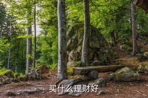 買什么理財產(chǎn)品，買什么理財好