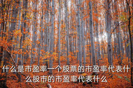 平均市盈率說(shuō)明什么，什么是市盈率一個(gè)股票的市盈率代表什么股市的市盈率代表什么