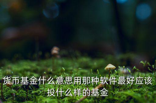 貨幣基金t什么意思，貨幣基金贖回時間T3是什么意思
