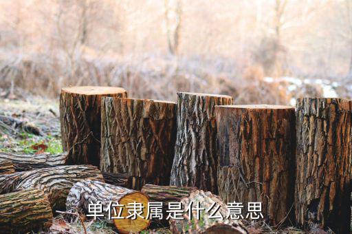 什么是部屬單位，單位隸屬是什么意思
