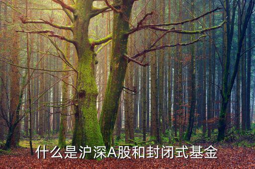 什么是上證封閉基金，請(qǐng)問(wèn)什么是上海封閉式基金操作跟股票一樣嗎