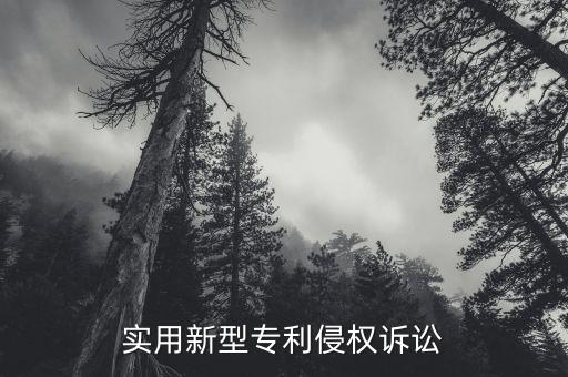 打官司最容易贏的是什么專利，外包裝專利侵權被告怎樣可以贏官司