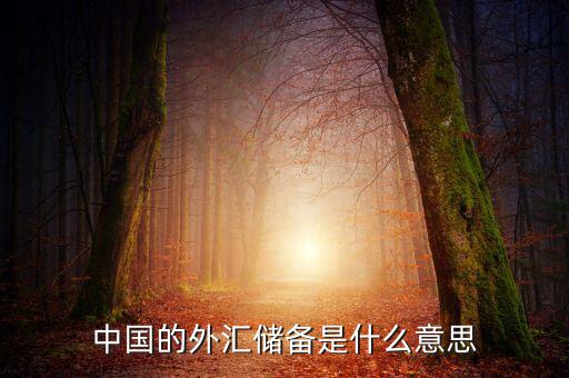 中國外匯儲備包括什么，我國外匯儲備