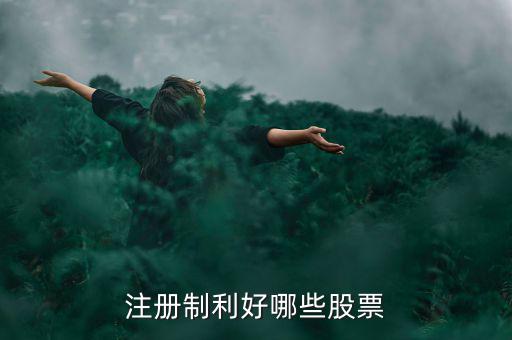 什么股票注冊制，IPO注冊制是什么意思