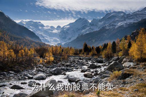 為什么我不能賣(mài)新股，為什么我的股票不能賣(mài)