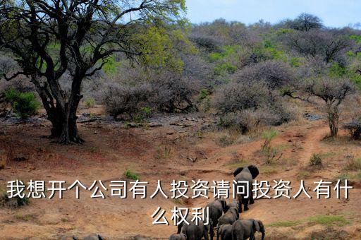 投資人最核心的優(yōu)先權(quán)是什么，投資人最關(guān)心哪三大核心問題