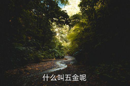 什么叫一市五金多套餐，知不知道招聘里說的 五金齊全是指什么