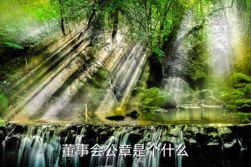 什么是董事會(huì)印章，完美國際魔方董事會(huì)印章有什么用