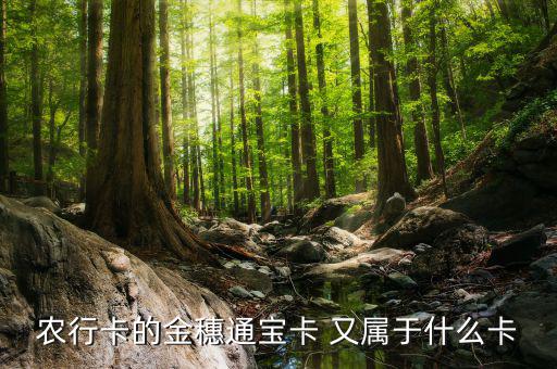 農(nóng)行叫號(hào)Q字頭是什么卡，農(nóng)行卡叫什么卡