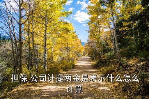擔保公司獎金怎么算,傭金結(jié)算金額是按照當前合同付款比例計算