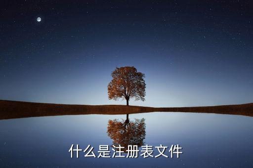 什么是注冊制，化妝品注冊是什么