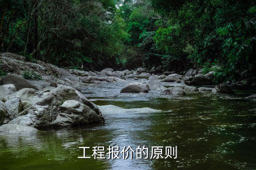 報價的基本原則是什么，投標人自主決定報價應(yīng)該遵循什么原則