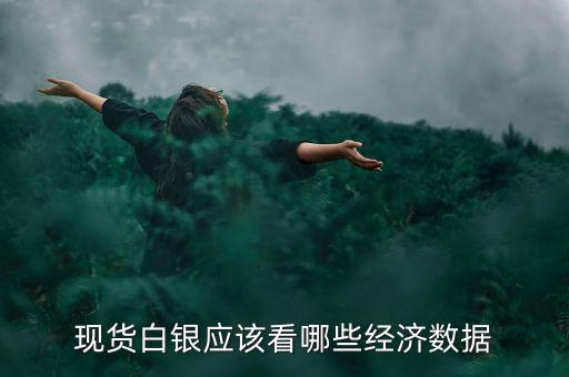 白銀價(jià)格和什么數(shù)據(jù)有關(guān)，現(xiàn)貨白銀應(yīng)該看哪些經(jīng)濟(jì)數(shù)據(jù)