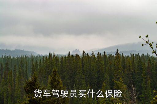 貨車司機(jī)買什么保險好，大貨車買什么保險最好