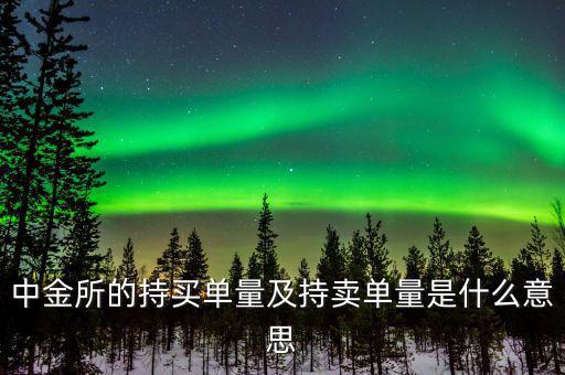持買單量是什么意思，持賣單什么意思