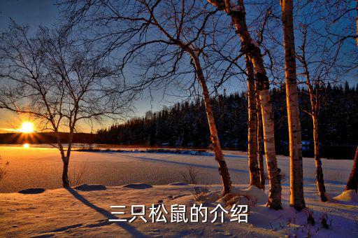 三只松鼠都做了什么，三只松鼠的銷售模式