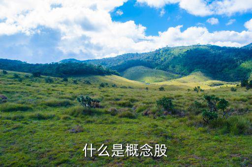 什么叫概念股，什么是概念股