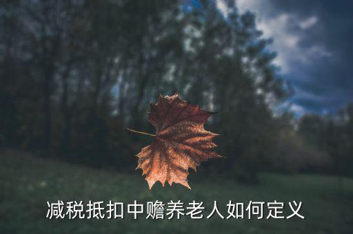 什么是減稅養(yǎng)老，減稅抵扣中贍養(yǎng)老人如何定義