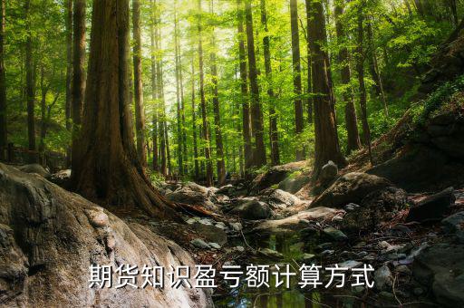 非法沽空是什么意思，高分注冊投資公司要具備哪些條件