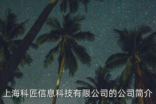 科匠和微匠什么關(guān)系列，科匠中國和用友有什么區(qū)別