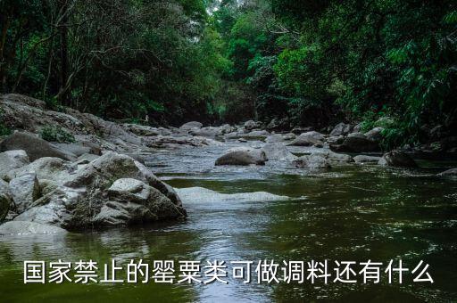 國(guó)家違禁香料有什么，國(guó)家禁止的罌粟類(lèi)可做調(diào)料還有什么