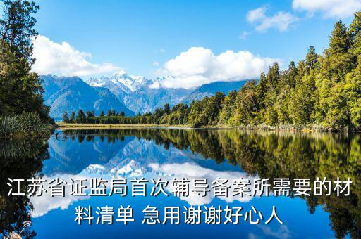 輔導(dǎo)備案登記受理是什么階段，我想問(wèn)一下辦一般納稅人申請(qǐng)后我們的輔導(dǎo)期是當(dāng)月 15小
