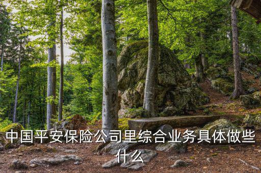 中國平安做什么的，中國平安是干什么的