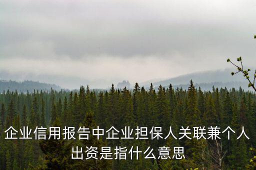 擔保人關(guān)聯(lián)是什么意思，企業(yè)征信中 擔保人關(guān)聯(lián)是什么意思