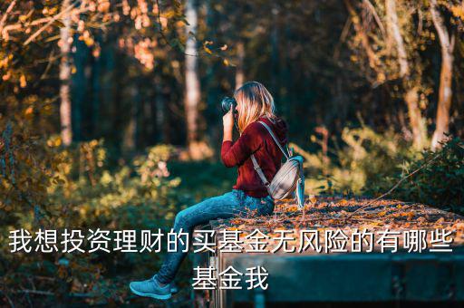 買(mǎi)什么基金是沒(méi)有風(fēng)險(xiǎn)，什么樣的基金沒(méi)有太大的風(fēng)險(xiǎn)
