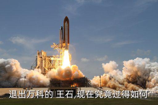 王石現(xiàn)在怎么樣,王瑞杰:等我成功，萬科就不需要王石