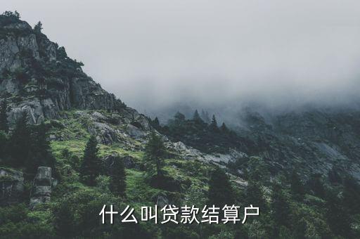 什么是有貸戶，什么叫居民戶貸款