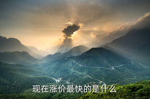 什么漲價(jià)快，大家猜猜看 什么東西會(huì)漲價(jià)的很快