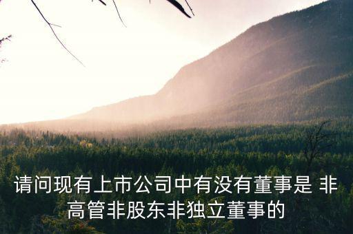 什么是非獨(dú)立董事，什么叫執(zhí)行董事非執(zhí)行董事和獨(dú)立非執(zhí)行董事