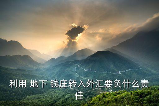 利用 地下 錢莊轉(zhuǎn)入外匯要負什么責(zé)任