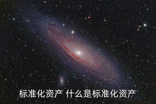 標準化資產 什么是標準化資產