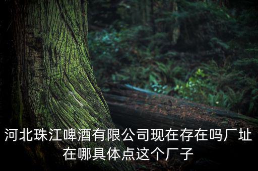 珠江啤酒為什么停牌，為什么市面上找不到珠江啤酒
