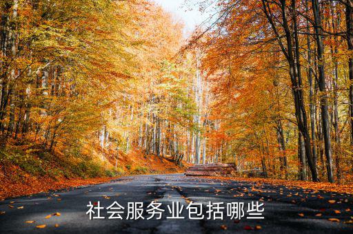 社區(qū)服務業(yè)由什么組成，社區(qū)服務包括居委會